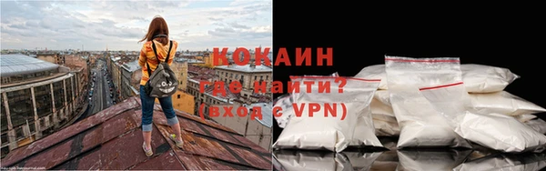 шишки Белокуриха