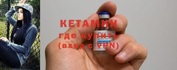 шишки Белокуриха