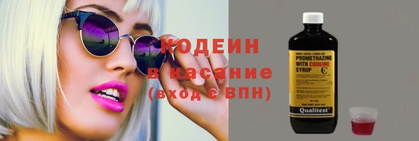 шишки Белокуриха