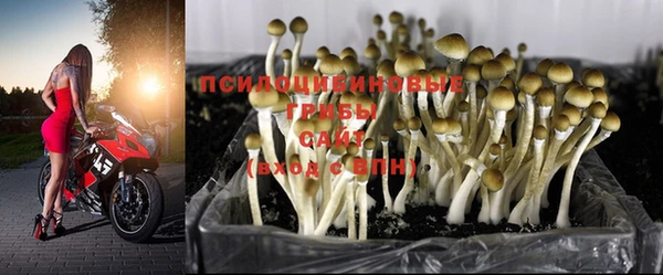 твердый Баксан