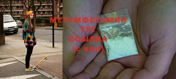 шишки Белокуриха