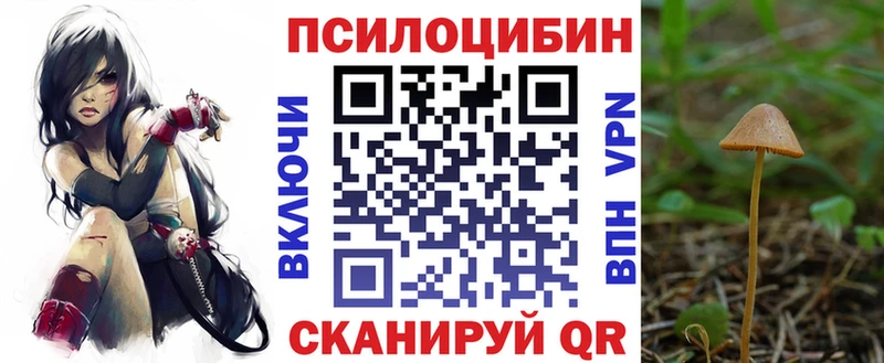 Галлюциногенные грибы MAGIC MUSHROOMS  Теберда 